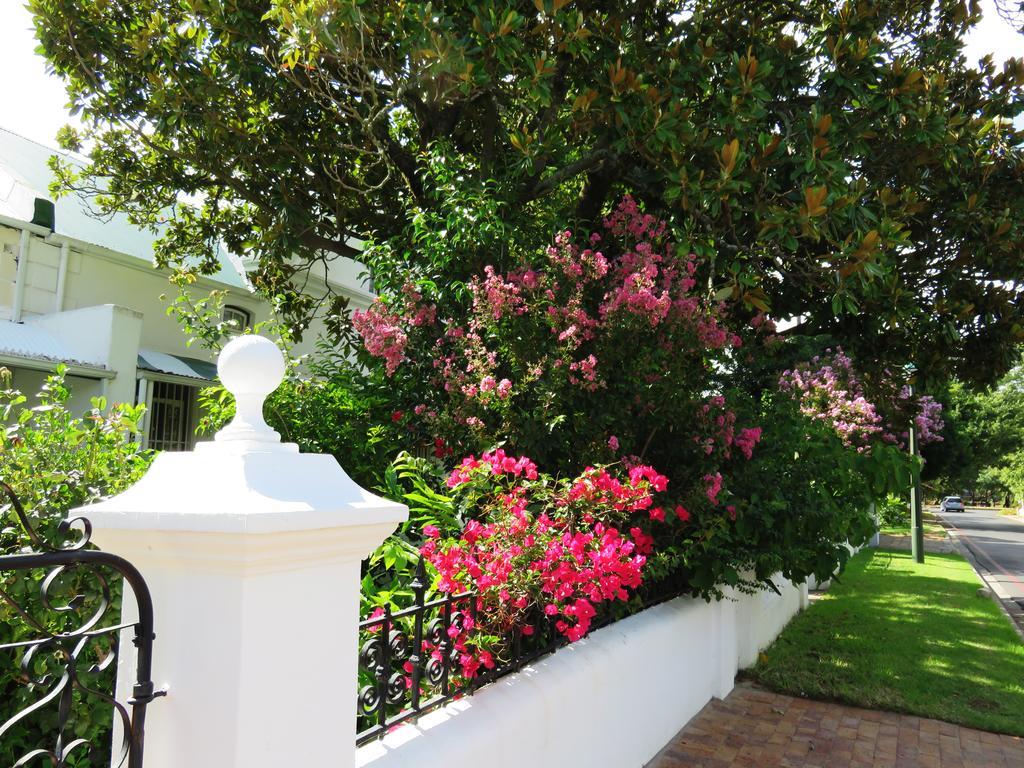 Fynbos Villa Guest House ステレンボッシュ エクステリア 写真