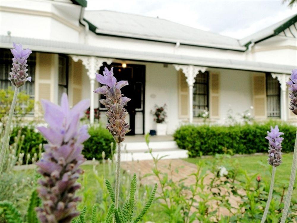 Fynbos Villa Guest House ステレンボッシュ エクステリア 写真